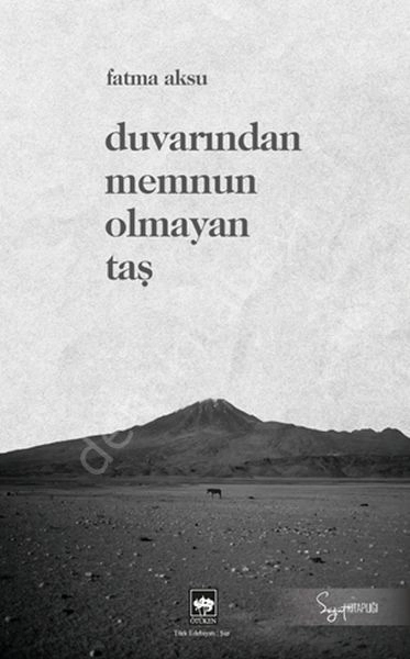 Duvarından Memnun Olmayan Taş, Fatma Aksu