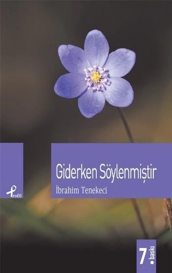Giderken Söylenmiştir, İbrahim Tenekeci, Profil Kitap