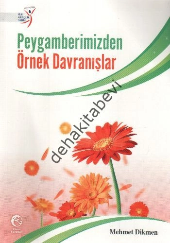 Peygamberimizden Örnek Davranışlar, Mehmet Dikmen