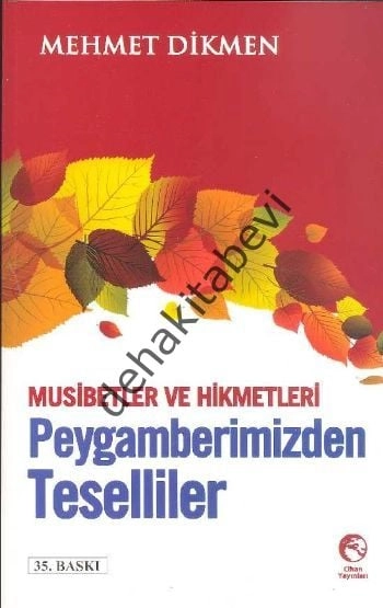 Peygamberimizden Teselliler, Mehmet Dikmen