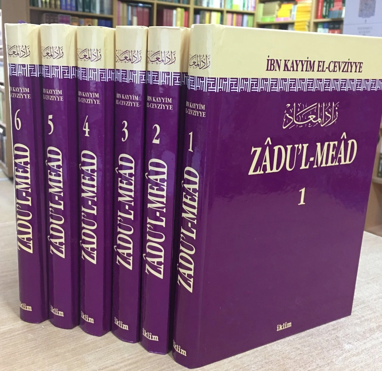 Zadul Mead Tercümesi (6 Cilt Takım); Resulullah'ın (s.a.v.) Yolunda