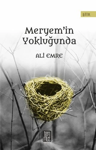 Meryemin Yokluğunda, Temmuz Kitap