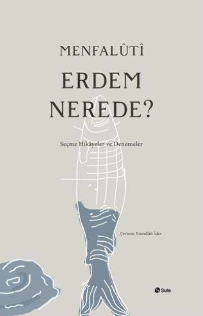 ERDEM NEREDE, Şule Yayınları