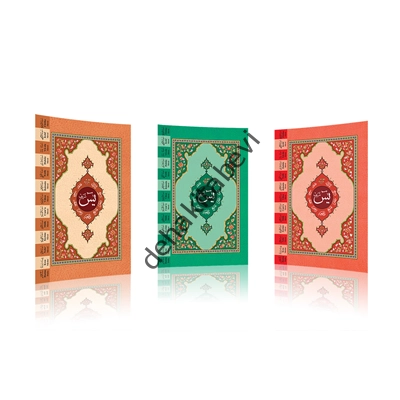 Hayrat Neşriyat  2 Renkli Orta Yasin-İ Şerif
