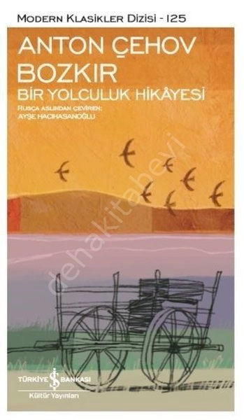 Bozkır, Bir Yolculuk Hikayesi, Anton Çehov