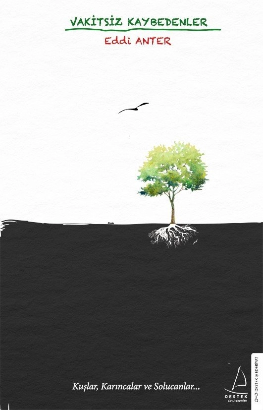 Vakitsiz Kaybedenler, Eddi Anter