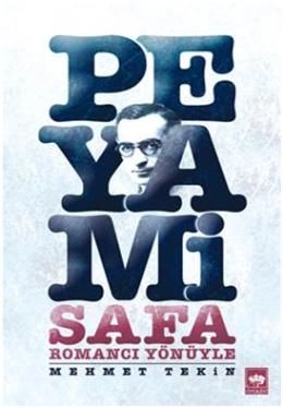 Romancı Yönüyle Peyami Safa, Mehmet Tekin