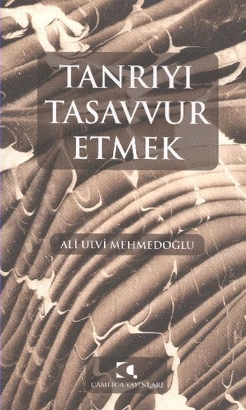 Tanrıyı Tasavvur Etmek, Ali Ulvi Mehmedoğlu
