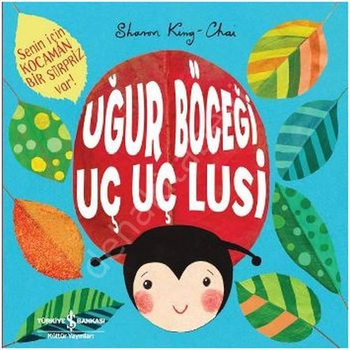 UĞUR BÖCEĞİ UÇ UÇ LUSİ, İş Bankası Yayınları