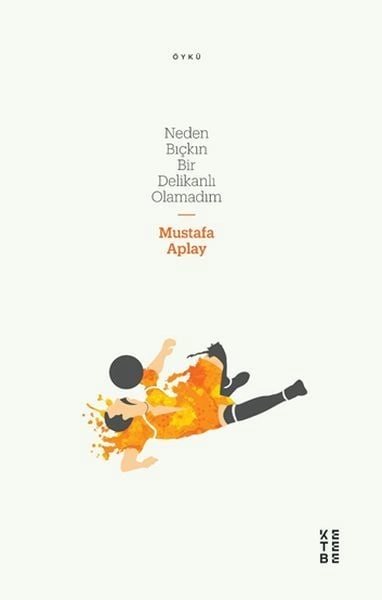 Neden Bıçkın Bir Delikanlı Olamadım, Mustafa Aplay