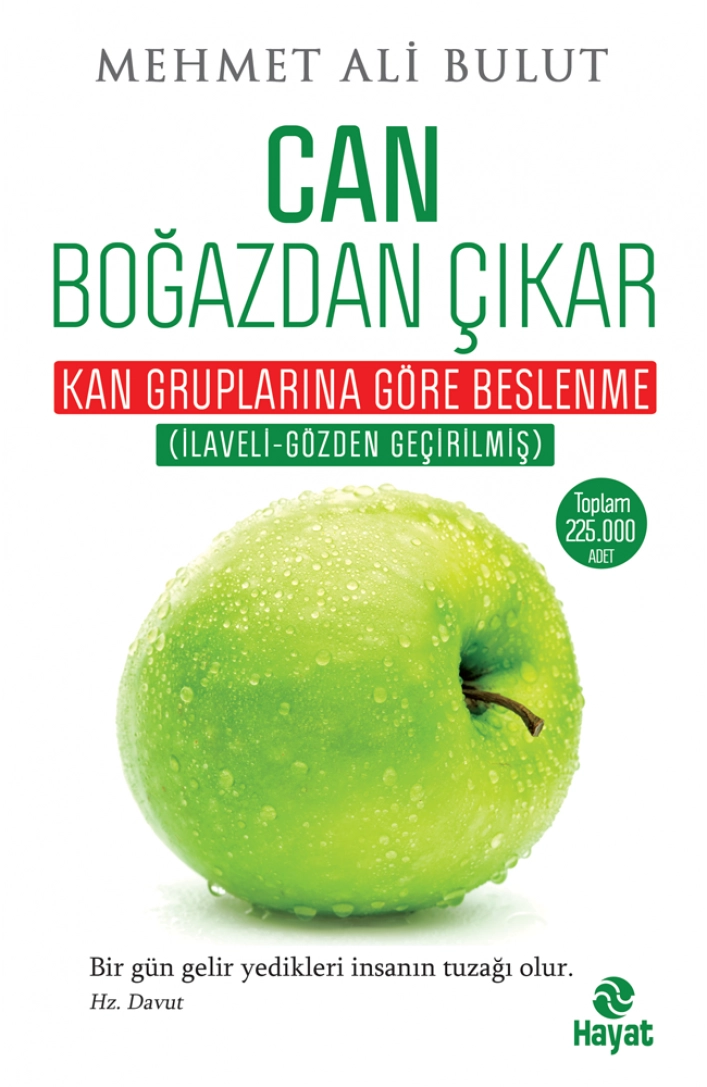Can Boğazdan Çıkar, Mehmet Ali Bulut, Hayat Yayınları