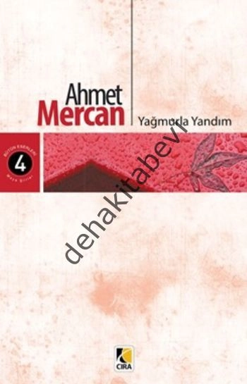 Yağmurla Yandım, Ahmet Mercan