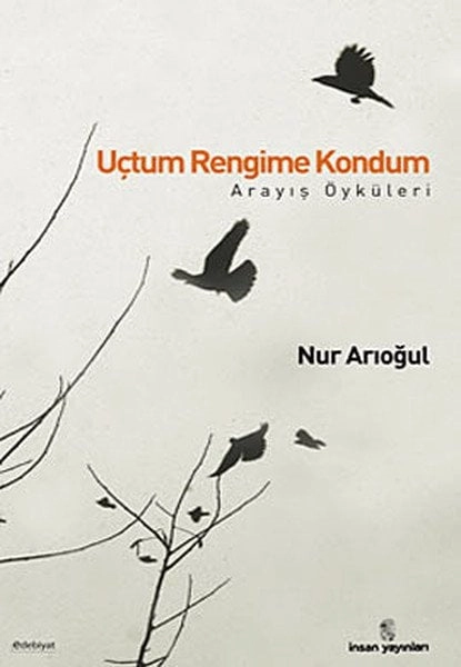 Uçtum Rengime Kondum; Arayış Öyküleri, İnsan Yayınları