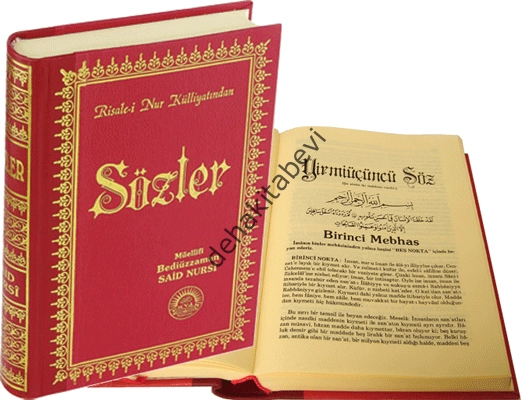 Sözler (şamua-orta boy-sırtı deri-kod:201)