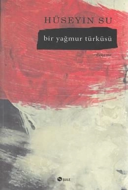 Bir Yağmur Türküsü, Hüseyin Su, Şule Yayınları