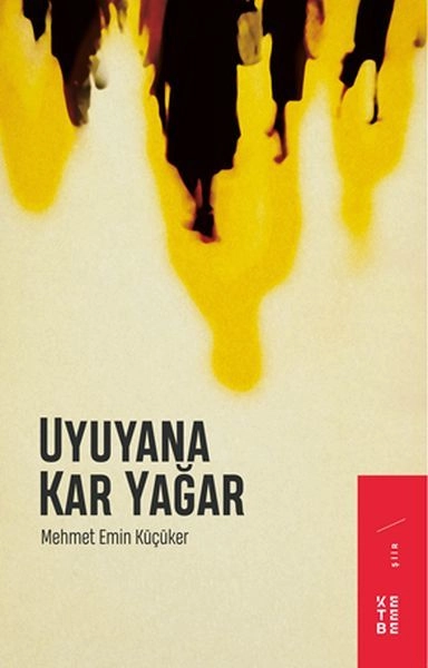 Uyuyana Kar Yağar, Mehmet Emin Küçüker