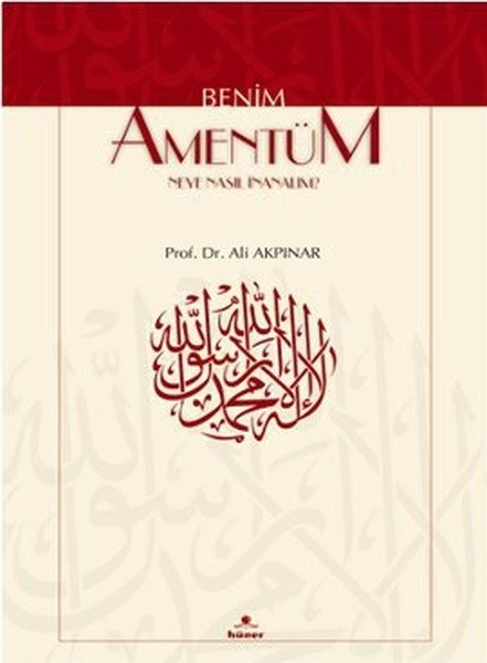 Benim Amentüm Neye Nasıl İnanalım ?, Ali Akpınar