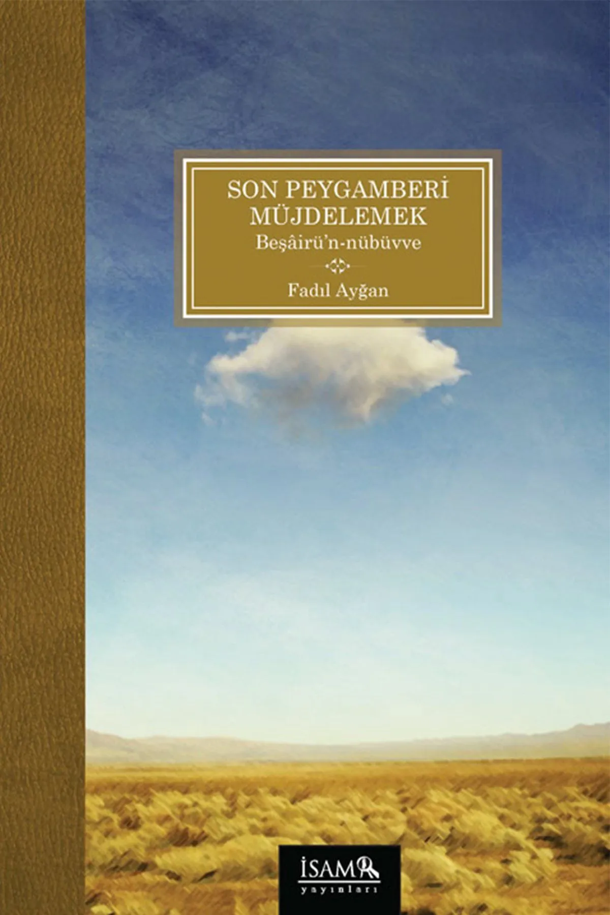 Son Peygamberi Müjdelemek Beşairün Nübüvve, Fadıl Ayğan