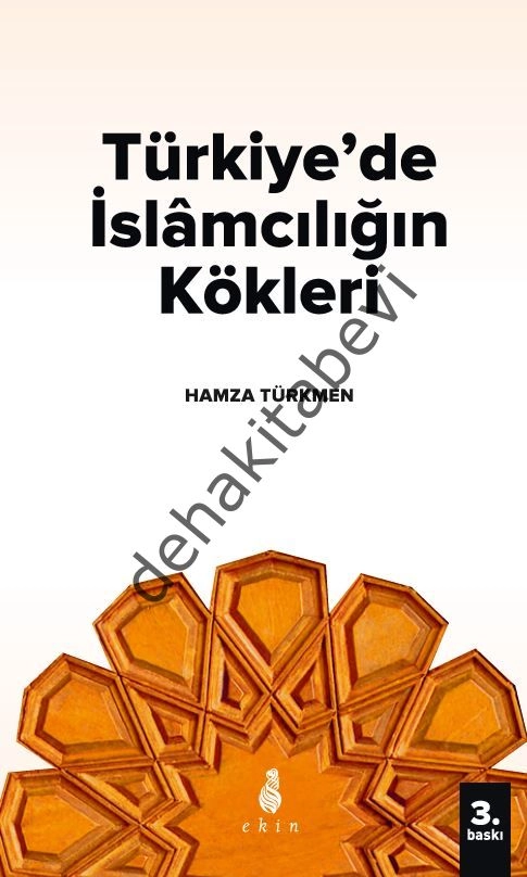 Türkiyede İslamcılığın Kökleri, Hamza Türkmen