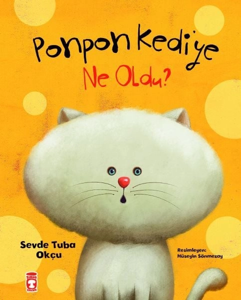 Ponpon Kediye Ne Oldu