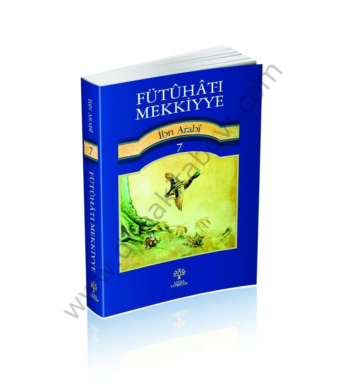 Fütuhat ı Mekkiyye 7, Muhyiddin İbn Arabi