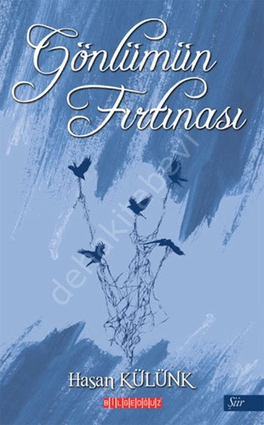 Gönlümün Fırtınası, Hasan Külünk