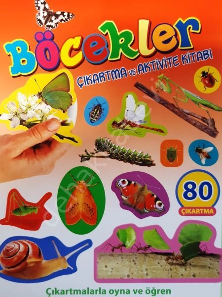 Böcekler - Çıkartma Aktivite Kitabı, Parıltı Yayıncılık