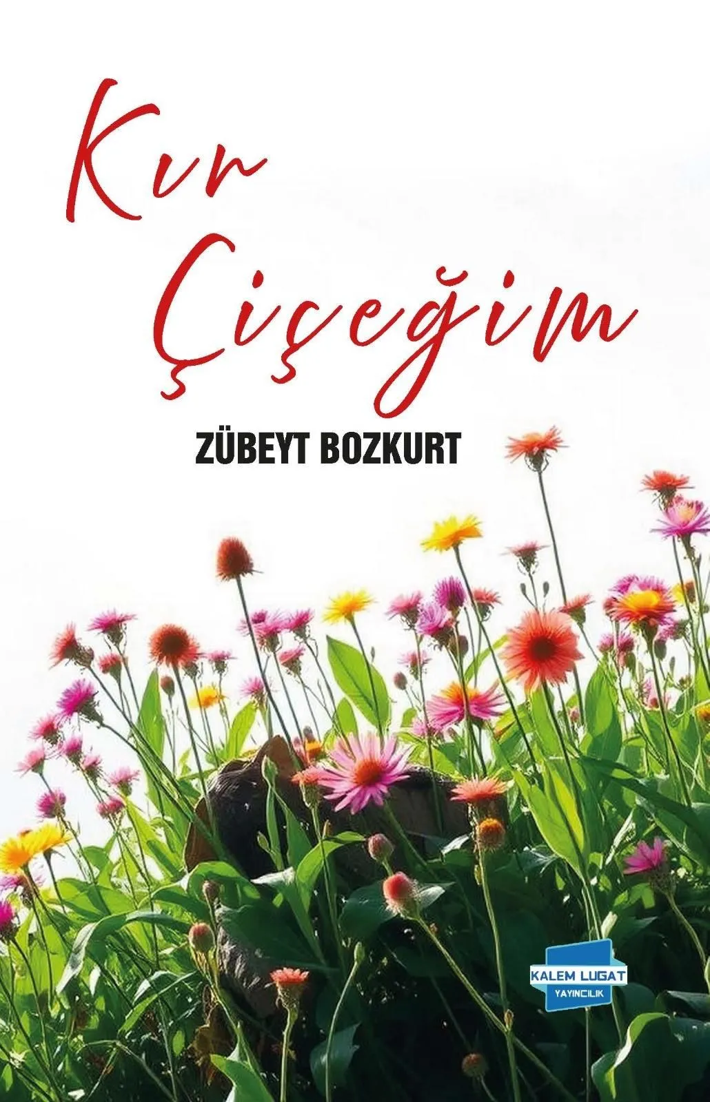 Kır Çiçeğim, Zübeyt Bozkurt