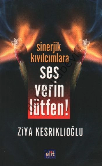 Sinerjik Kıvılcımlara Ses Verin Lütfen, Ziya Kesriklioğlu