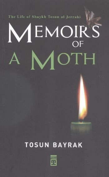 Memoirs of A Moth - Amerikada Bir Türk (İngilizce)