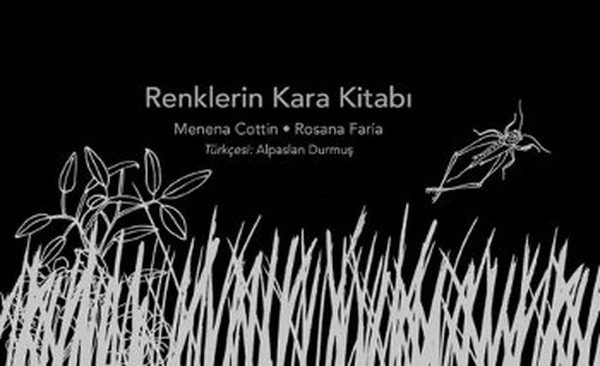 RENKLERİN KARA KİTABI