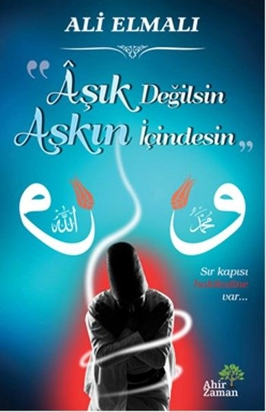 Aşık Değilsin Aşkın İçindesin, Ali Elmalı