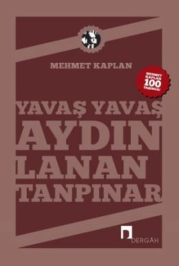 Yavaş Yavaş Aydınlanan Tanpınar, Mehmet Kaplan