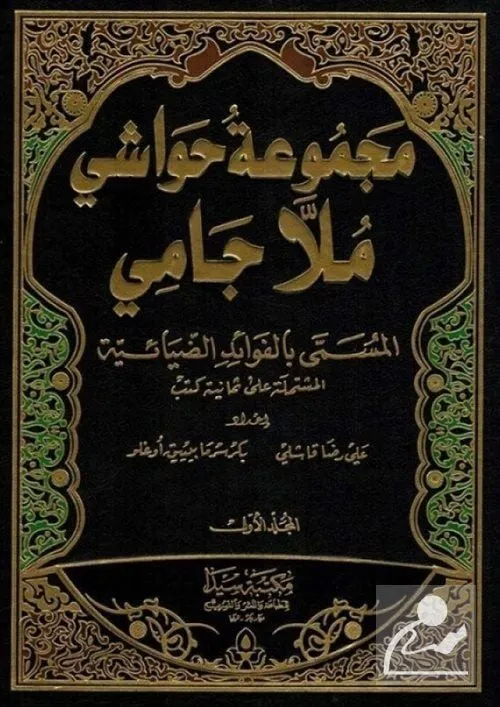 Mecmuatü Havaşi Molla Cami (Arapça) (2 Cilt Takım)