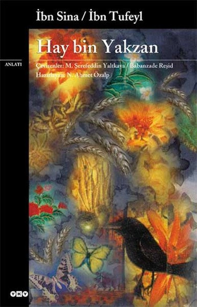 Hay Bin Yakzan, İbn Tufeyl