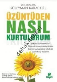 Üzüntüden Nasıl Kurtulurum, Süleyman Karacelil