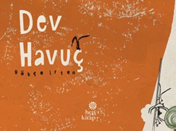 Dev Havuç, Gökçe İrten