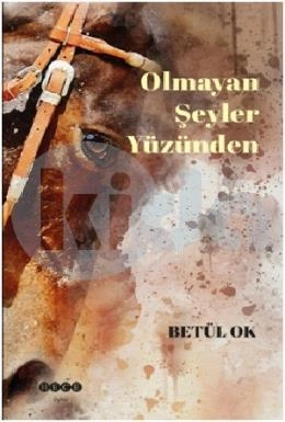 Olmayan Şeyler Yüzünden, Hece Yayınları