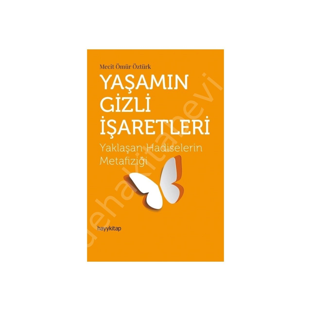 Yaşamın Gizli İşaretleri, Mecit Ömür Öztürk