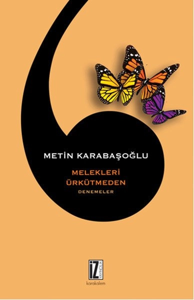 Melekleri Ürkütmeden, Metin Karabaşoğlu, İz Yayıncılık
